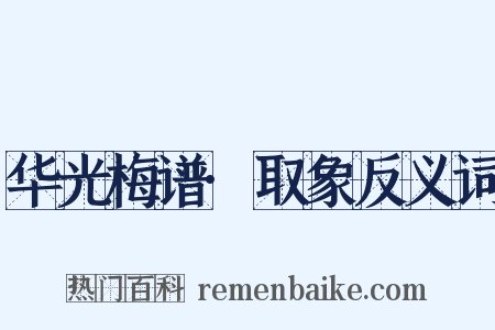 华光梅谱·取象反义词是什么意思的图片
